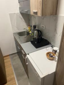 Kuhinja ili čajna kuhinja u objektu Vožd Apartman Divcibari