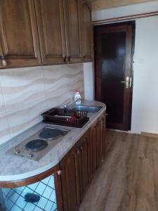 Kuchyň nebo kuchyňský kout v ubytování Rent a rooms - "Laki"