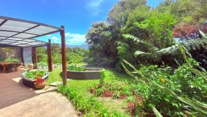 Vrt pred nastanitvijo Collingwood Escape - Spacious and Modern Getaway in Collingwood with a View