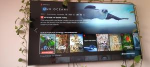 TV a/nebo společenská místnost v ubytování Settat room Homy