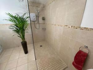 a bathroom with a shower with a plant in it at Cygnet Studio in Dingestow