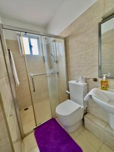 a bathroom with a toilet and a shower and a sink at Best homes apartments near JKIA in Nairobi