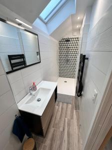 un bagno con lavandino, specchio e doccia di Les grumeaux Colmar Est a Horbourg