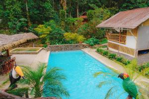 Bazén v ubytování Finca Las Palmas Ecolodge nebo v jeho okolí