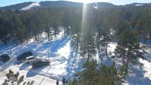 Príroda v okolí apartmánu