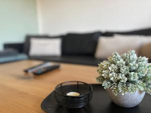 Billede fra billedgalleriet på Modern am Bowlingcenter Garten u Terrassenüberdachung i Werlte