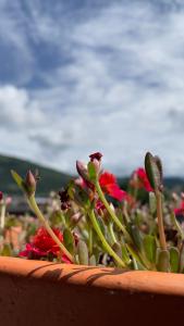 Φωτογραφία από το άλμπουμ του Casa AguaMarina σε Honda