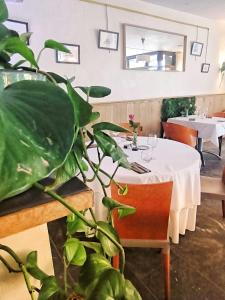 Château d'Arance Hôtel Restaurant Espace bien-être的休息区