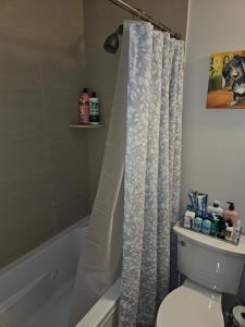 a bathroom with a shower curtain and a toilet at Chic 2 bedroom condo at 2121 in Washington, D.C.