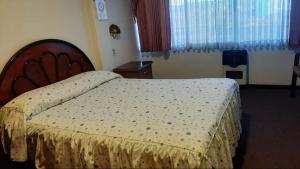 Gallery image of Galax Resort in Oruro