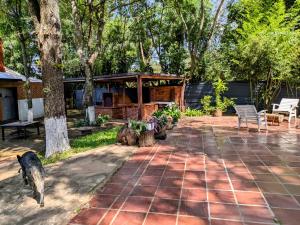 Zahrada ubytování Un Oasis Natural a Minutos de Asunción