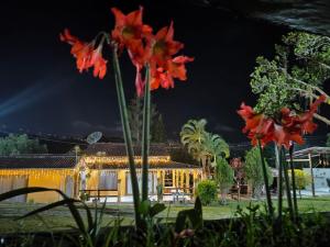 a house at night with red flowers in the foreground at Chacara Hardmeier in Gravatá