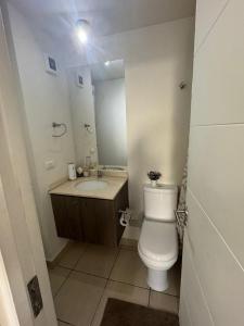 a bathroom with a toilet and a sink and a mirror at Depasfs in Santiago +4 photos
