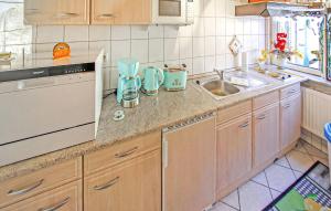 een aanrecht met een wastafel en een vaatwasser bij Ferienhaus Zempin Seebad in Zempin