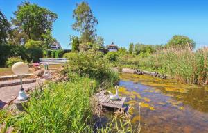 two swans sitting on a bench in a pond at Ferienhaus Ueckermünde Bellin in Bellin +10 photos