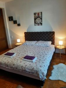 Postel nebo postele na pokoji v ubytování Apartman Trijumf