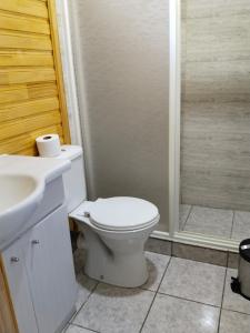 a bathroom with a toilet and a sink and a shower at Cabañas Mirador del Puma in Hornopiren +8 photos
