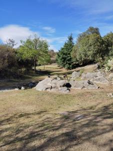 een berg rotsen in een veld met bomen bij El Atardecer in Oro Grueso +15 foto's