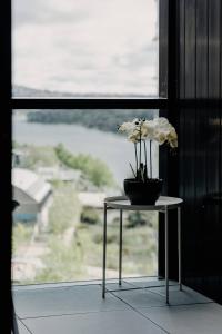 ベルコナンにあるBeautiful 2BR Lakeside Viewの窓際の花のテーブル