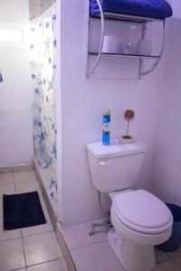 łazienka z białą toaletą i prysznicem w obiekcie casa regia mitras w mieście Monterrey +2 zdjęcia