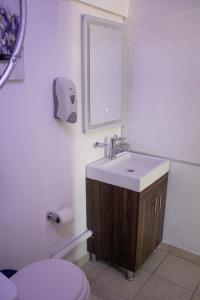 łazienka z umywalką, toaletą i lustrem w obiekcie casa regia mitras w mieście Monterrey