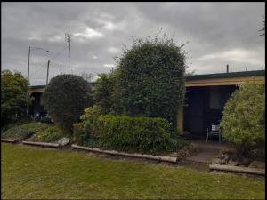 Vườn quanh Pinehaven Motel