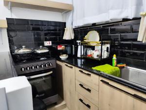 Luxe Loft Kinoo的厨房或小厨房