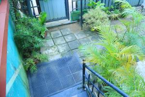 a garden with plants on the side of a building at villa surendra in Weligama