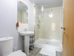 a bathroom with a shower and a toilet and a sink at Vyrnwy Lakeside - Bala Lake in Bala
