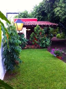 a garden with a gazebo with plants and flowers at Hotel Caleta in San Miguel