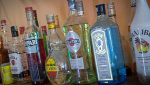 Island View Hostel的酒水