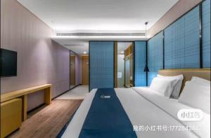 滠口镇宜尚酒店(武汉武湖高车地铁站店)的一间带大床和电视的卧室
