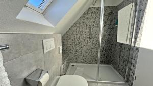 a bathroom with a shower and a toilet and a sink at Bodenseehotel Renn in Hagnau