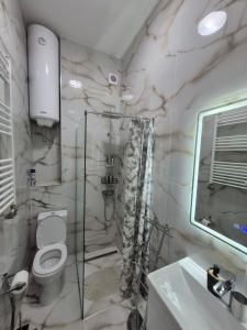 a bathroom with a toilet and a sink and a mirror at 15 PERCENT OFF UNTIL 31st OF AUGUST ABC Luxury Space with 7 suites for 15 Guests - One Suite with Hot Tub and Sauna, Paid Parking on-site, Mandatory Reservation in Belgrade +6 photos