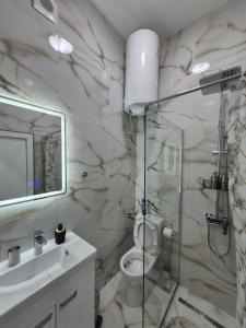 a bathroom with a shower and a toilet and a sink at 15 PERCENT OFF UNTIL 31st OF AUGUST ABC Luxury Space with 7 suites for 15 Guests - One Suite with Hot Tub and Sauna, Paid Parking on-site, Mandatory Reservation in Belgrade