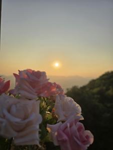 Fotografie z fotogalerie ubytování Hotel Le Belmont Mahabaleshwar v destinaci Mahábalešvár