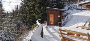 Chalet Alpl - Ferienwohnung Waldblick mit Sauna, Kamin & Whirlwanne v zimě