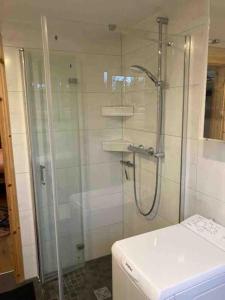 a shower with a glass door in a bathroom at Behagliches Cottage am See in Fürstenberg-Havel