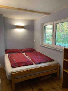 a bedroom with a bed with red pillows and a window at Behagliches Cottage am See in Fürstenberg-Havel