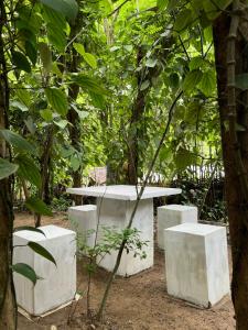 Zahrada ubytování Jungle Nook Hiriketiya