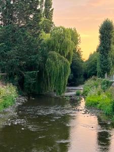 Paesaggio naturale nelle vicinanze della casa vacanze