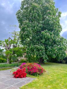 un grande albero con fiori in un parco di La Maison Gavraise a Gavray
