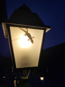 Fotografie z fotogalerie ubytování Palazzo del Baglivo Cilento Hotel & Spa v destinaci Sessa Cilento