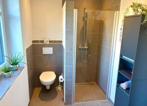 a bathroom with a toilet and a shower at Wunderbare Ferienwohnung EG mit Nähe zum Badesee 2 in Goldenstedt