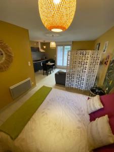 a bedroom with a large bed in a room at Studio paisible in Ruffec