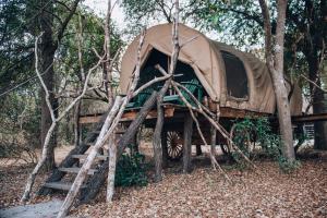 una tienda en el bosque con una escalera en Outspan Rufiji Explorers, en Zombe 12 fotos más