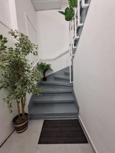 Fotografie z fotogalerie ubytování Royal suite v destinaci Rechovot + 18 fotografií