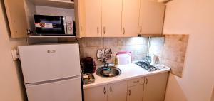 a small kitchen with a refrigerator and a sink at City break Park Studio Bucharest in Bucharest +19 photos