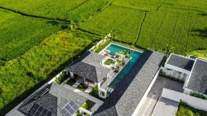 Kolam renang di atau dekat dengan Nayanika 5 BR Private Pool Villa with Ricefield view CYN