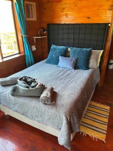 Katil atau katil-katil dalam bilik di Serendipity Guest Farm Byrne